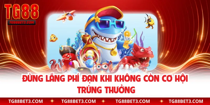Đừng lãng phí đạn khi không còn cơ hội trúng thưởng