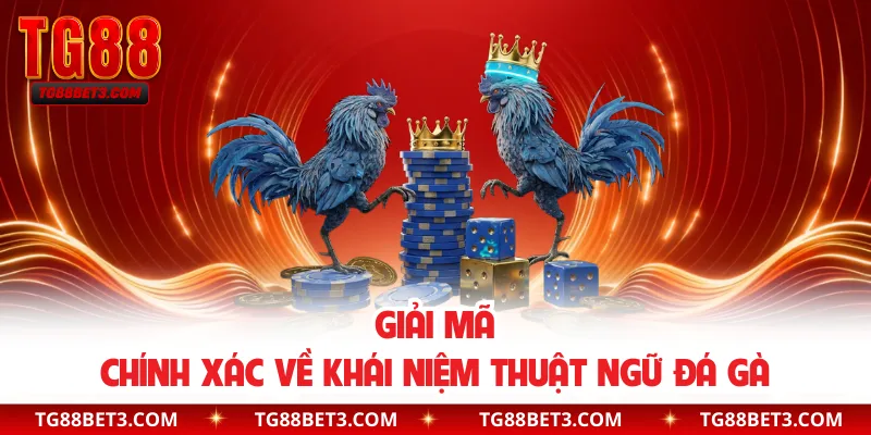 Giải mã chính xác về khái niệm thuật ngữ đá gà