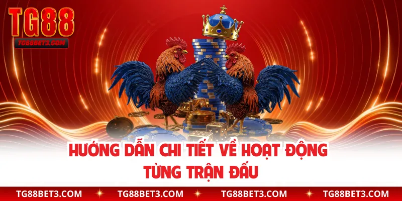 Hướng dẫn chi tiết về hoạt động từng trận đấu