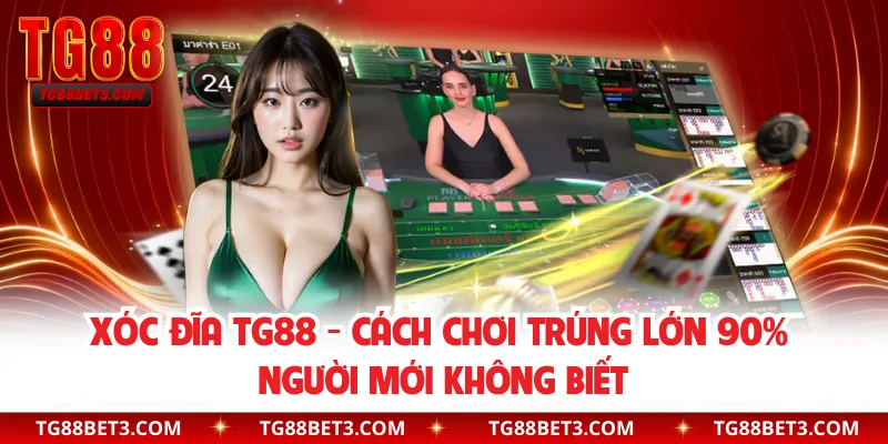 Xóc Đĩa TG88 - Cách Chơi Trúng Lớn 90% Người Mới Không Biết